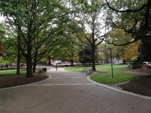 Brickyard Trees and Benches